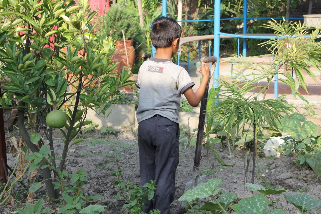 Child labor nepal